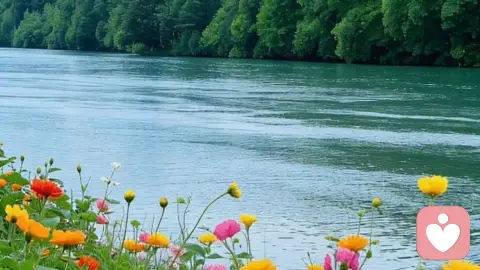 心理学中“空心人”的核心特征是什么？