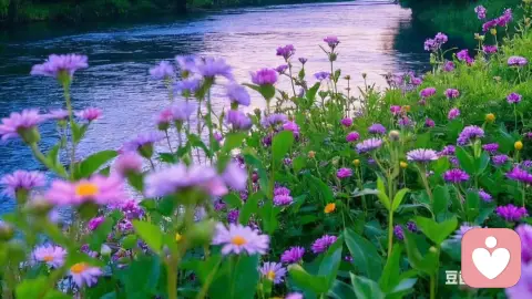 空心人（空心病）VS 抑郁症 核心对比