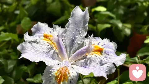 我从不相信，一个人能靠痛苦以外的任何一种方式成长