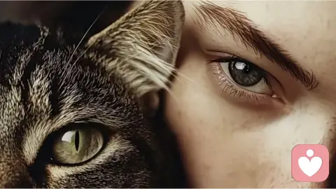 100个心理学效应,揭示人性的真相之(五)