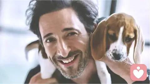 你养宠物的方式，暴露了你的原生家庭