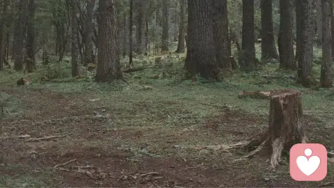 该如何解构你的人生课题