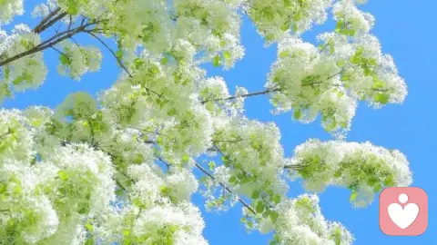 治愈内耗，遇见最好的自己