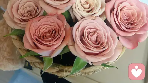 别骗自己了!三观不合再爱,也注定是场消耗