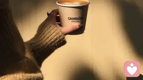 ✨4月下半月|不是等风来,是你终于敢自己起风