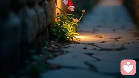 情绪内耗的人，都值得被好好接住