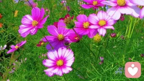 当嫉妒来时，学会超越自我；