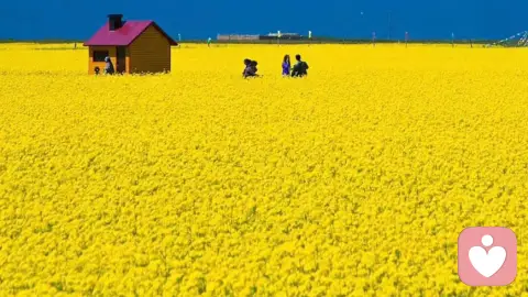 原生家庭，如何影响我们的婚恋关系