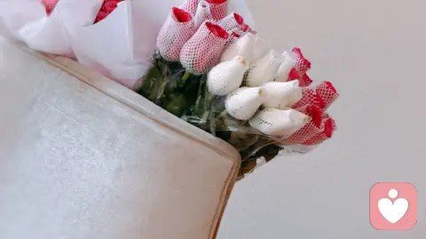 生活需要小确幸