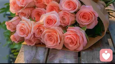 逃避型人格，才总提分手