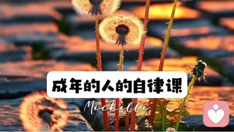 成年人的自律课
