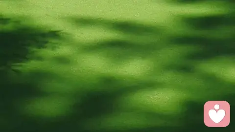 死亡是100%的概率事件，那么要考虑的应该是开心吧