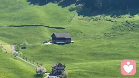 生物-心理-社会模型整合器