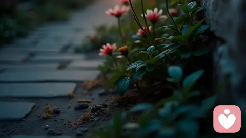 长期情绪内耗的人，都在悄悄把自己“耗尽”（看完别哭)