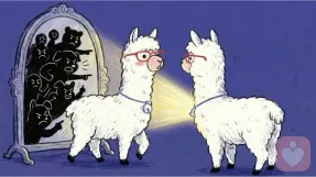 半夜醒来千万不要看时间