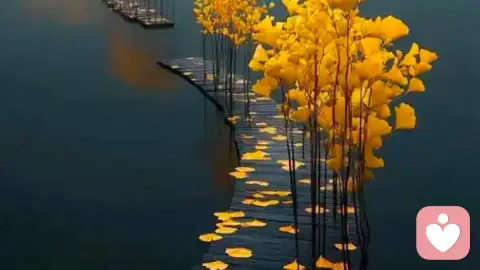 婚姻里的温柔，藏在这些不用费力的小事里