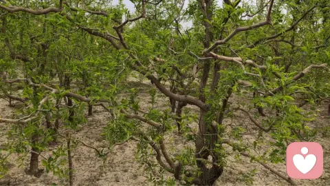 勇敢撕开自卑的茧