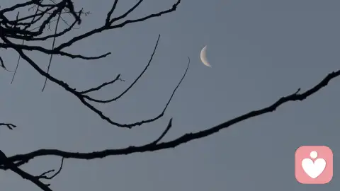 情欲性投射：潜意识欲望的面具与心理防御机制解析