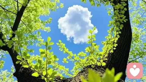 哲思入日常 大道暖人间——浅谈哲学与生活的共生相融之道