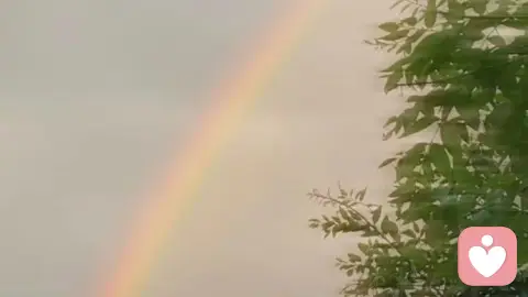 为什么你那么好，却没人真正靠近？｜深度解析吸引力系统的五个隐藏维度