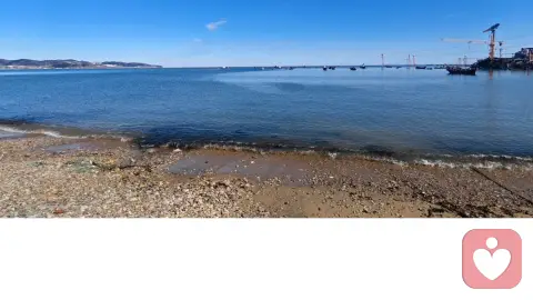 心有归处，便是人间清欢