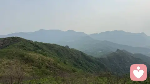 独自美丽，开心就好。