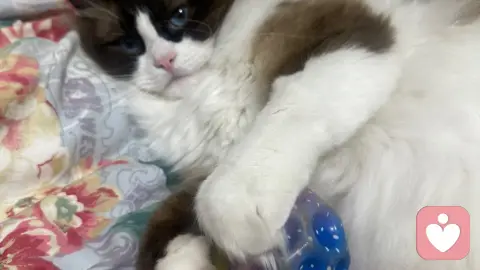 父母失和，是孩子一生的内伤