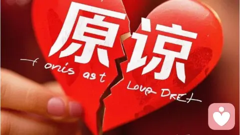 选择原谅，真的是因为大度吗？——多学科视角下的深度专业解析