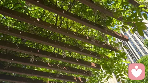 微信聊天无法代替见面聊天，见面聊天无法代替身体亲密