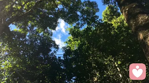 停止等待“戈多”：成为自己人生的“第一责任人”——深度解读“高主体性人格”的底层逻辑与强大魅力