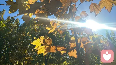 别用“情绪无视”，毁掉孩子的内心安全感