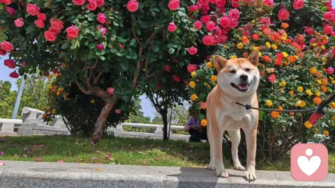 99%的男人着急结婚，只是为了找个“妈”照顾自己