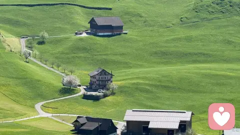 你只有一个对手，巅峰时的自己