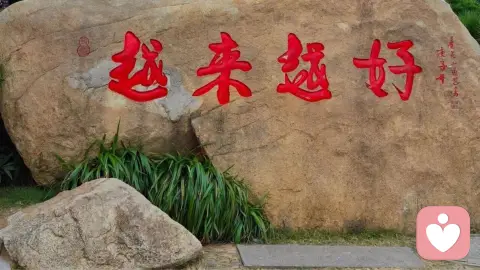 快速自愈，停止内耗