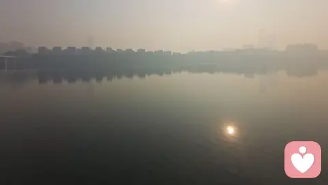 儒道经典中的宇宙规律与人生境界