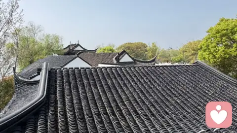 最高级的治愈，其实是看见了你最初的样子