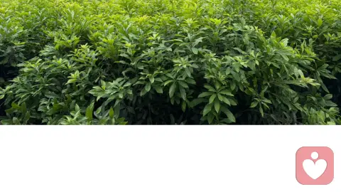 人到中年，余生福报，全靠自己成全