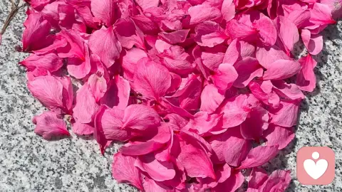 亲爱的自己：你辛苦了！谢谢你