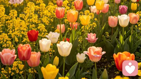 孩子遇到困难别怕，送你几个点亮心情的小窍门