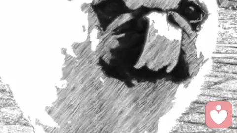 小猴抢走了方向盘