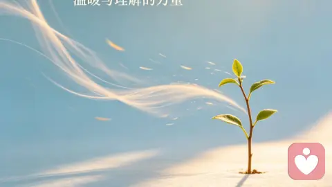 心理学南风效应：温柔，才是关系最高级的治愈力