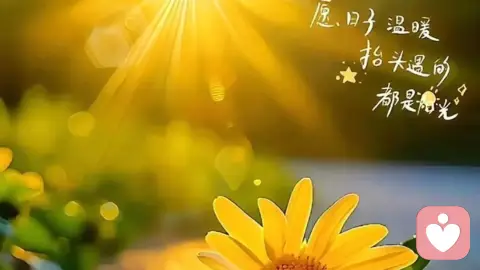 分手后如何走出阴影