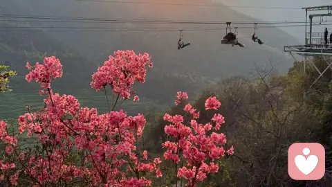 嘿，我知道你最近有点累