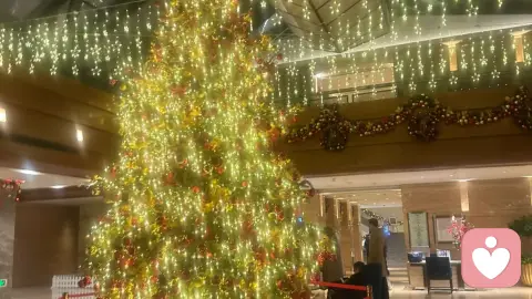 以爱为名的牢笼，正在折断孩子的翅膀