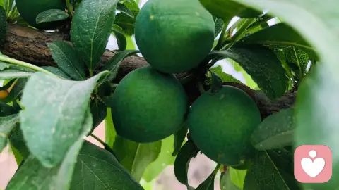 珍惜生命、远离冷暴力