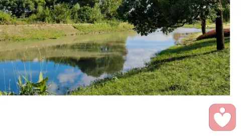 当失联多年的好友突然加你微信——聊聊“真兄弟”与“假朋友”