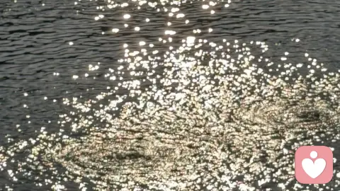 为什么我们总是害怕失去？