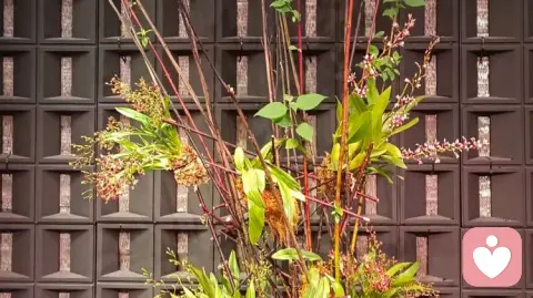 停止内耗，做情绪稳定的人