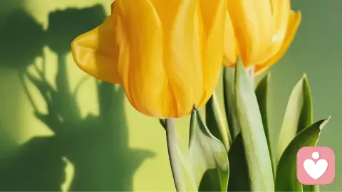 下周星象｜你可以主动，也可以退场，但不要停在原地✨