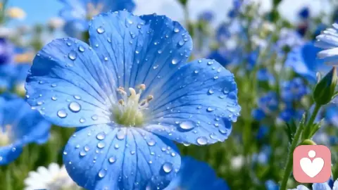 伤口会好，疤还在